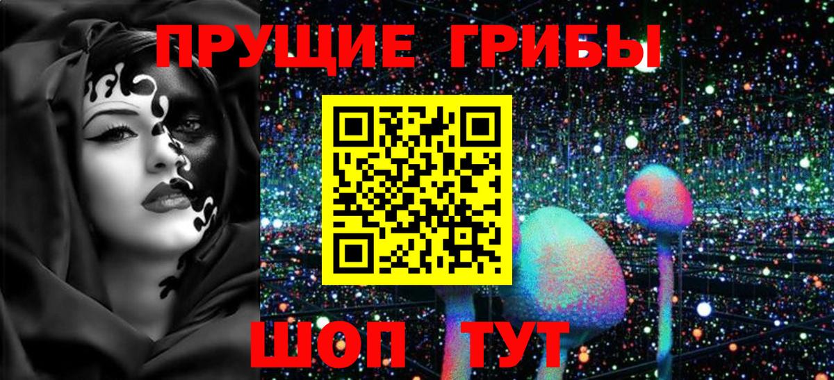 Гусиноозёрск  Псилоцибиновые грибы Magic Shrooms  Галлюциногенные грибы прущие грибы  Вход с VPN 