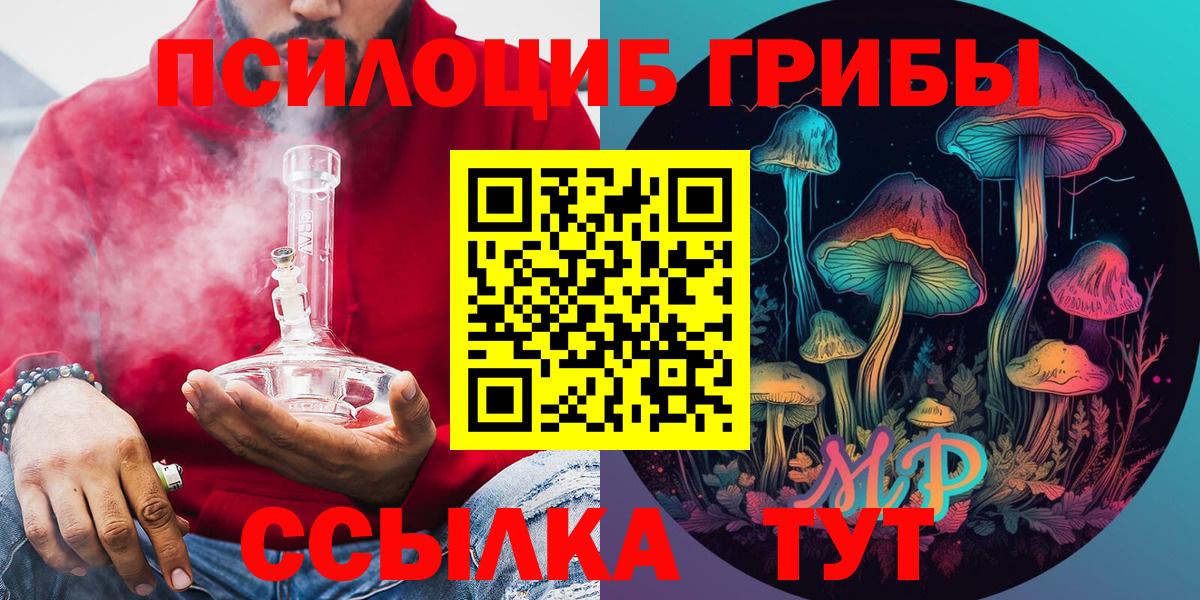 Галлюциногенные грибы мухоморы Гусиноозёрск